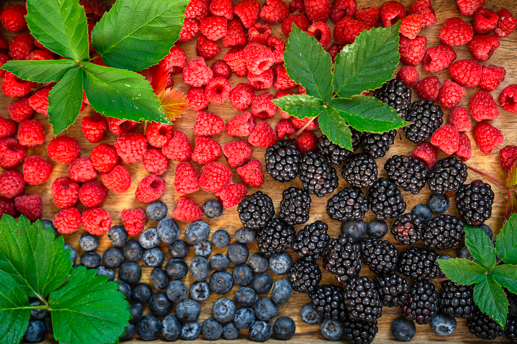 7 доступних українцям продуктів, які уповільнюють старіння мозку